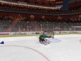 /album/skupina-c-rusko-dansko/nhl2009-2012-05-05-23-03-53-96-jpg/